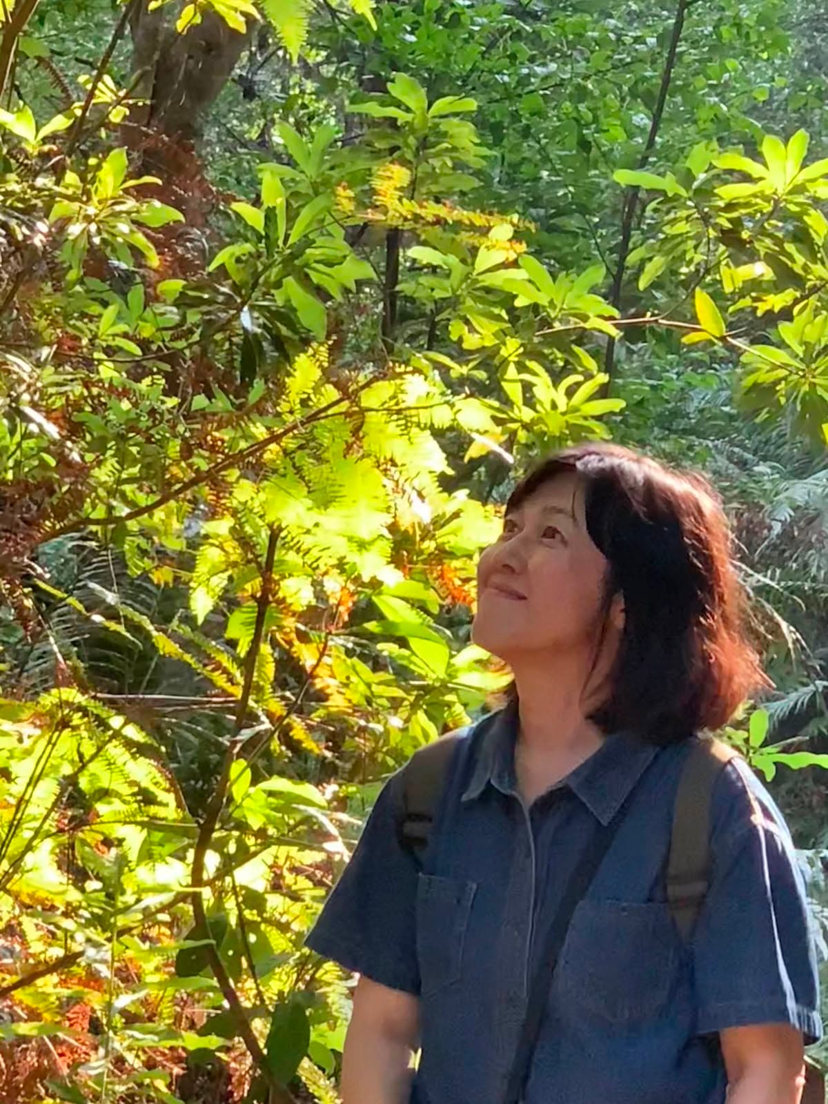 黃淑貞